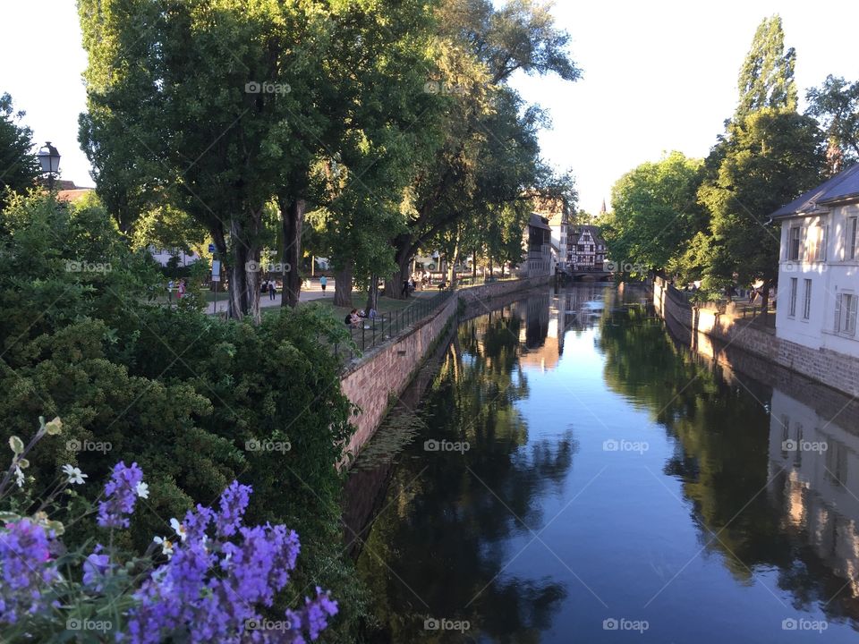 Strass river in Strasbourg Petite France with flowers