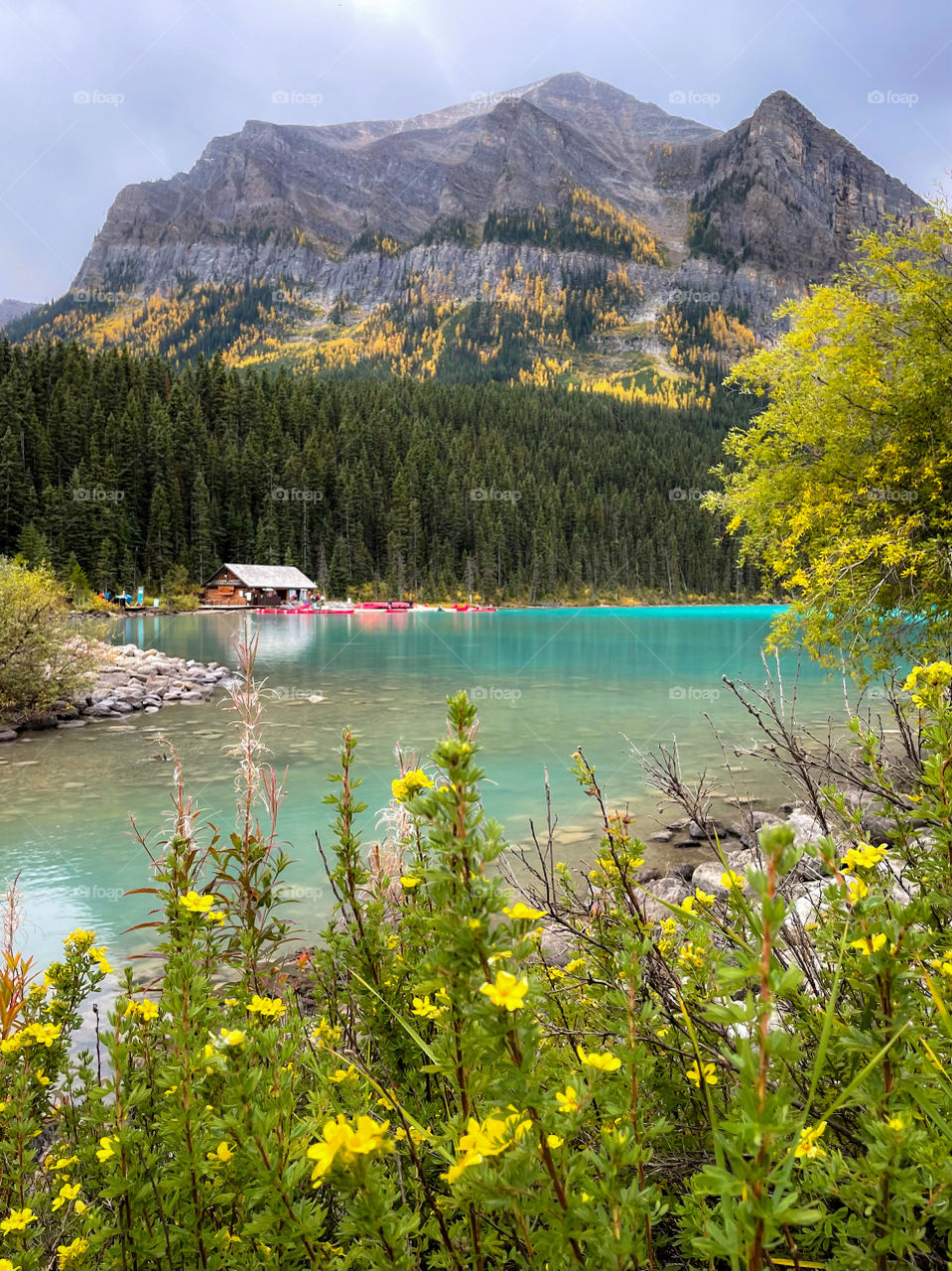 Lake Louise