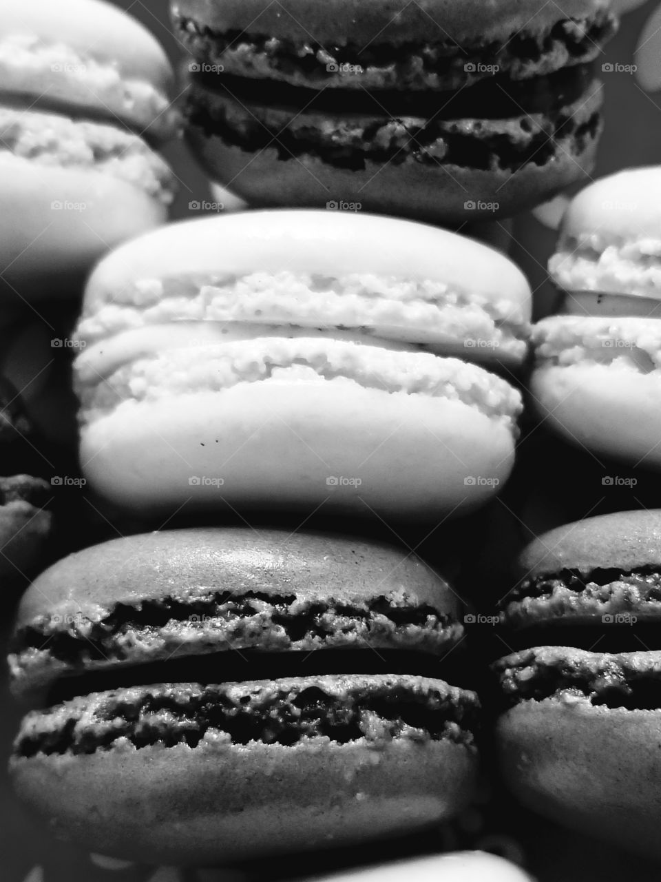 macarons in b&w