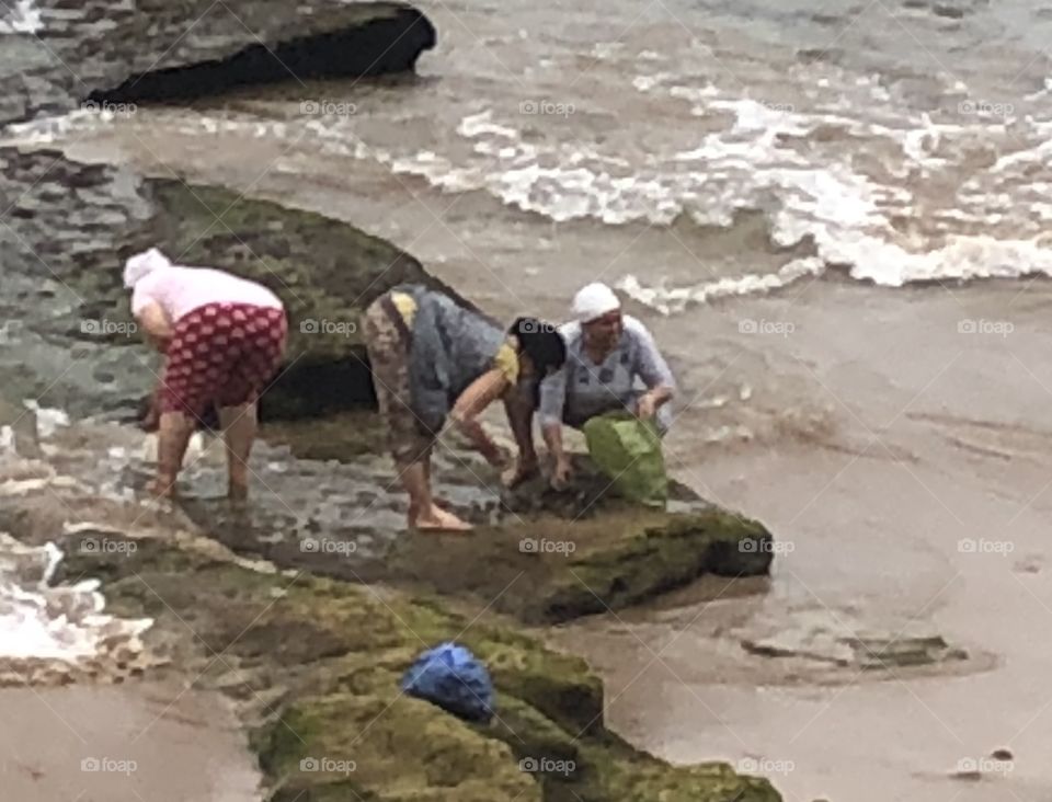 Taghazout last fisherman 