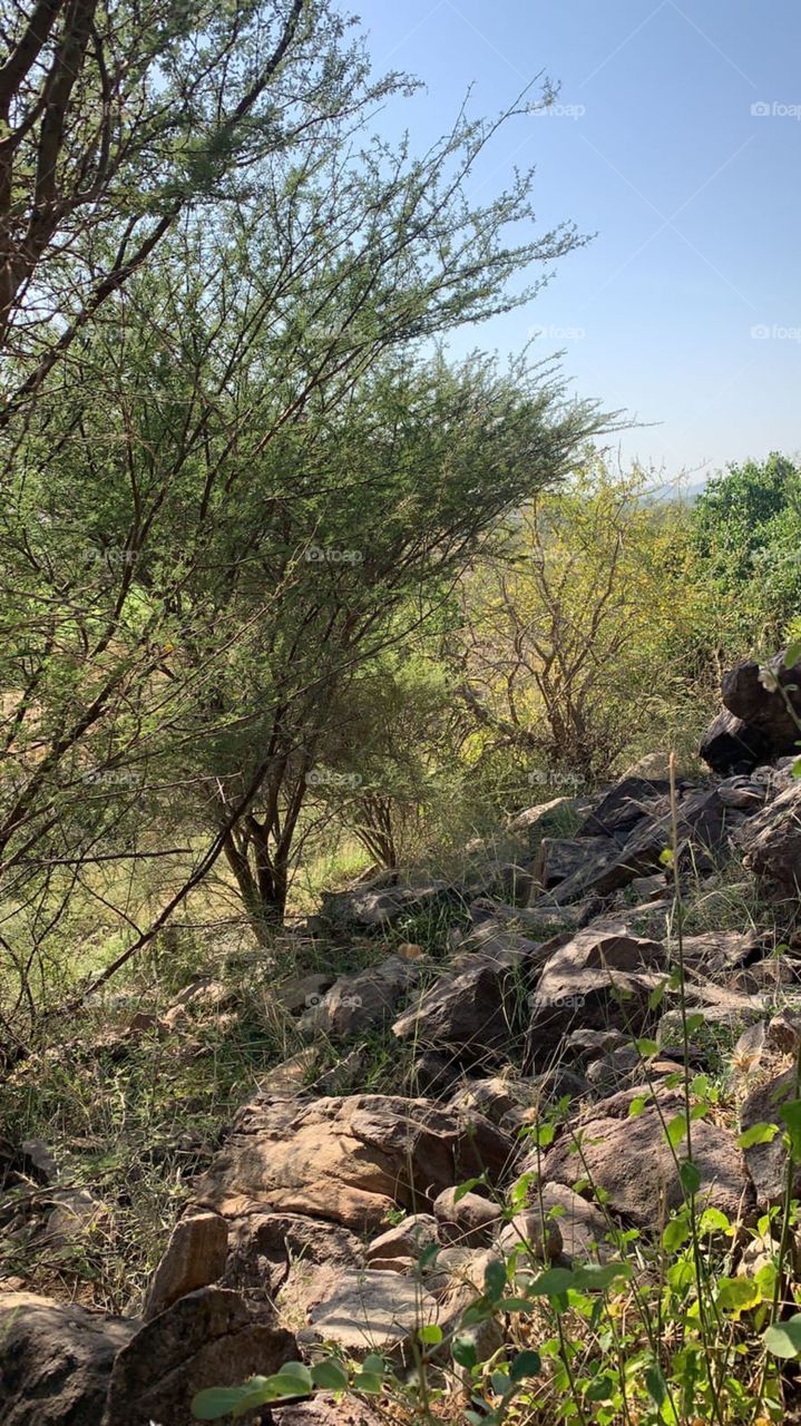 I need your support guys, I'm very, very poor, poor