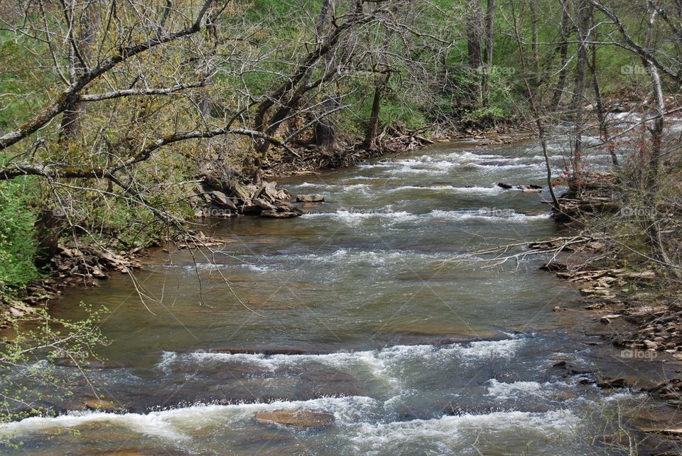 Scenics view of river at chattahoochee