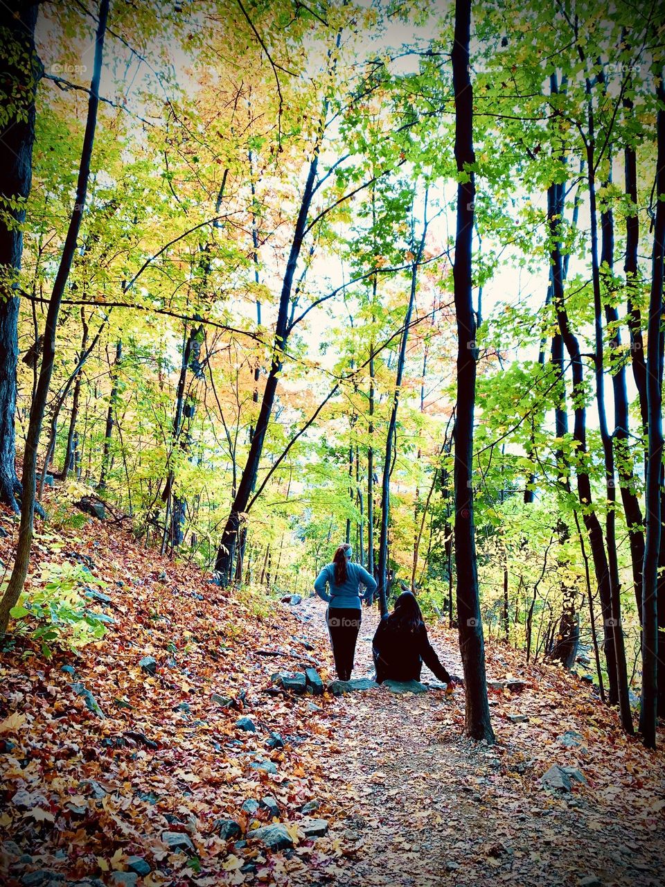 Power pose In the forest 