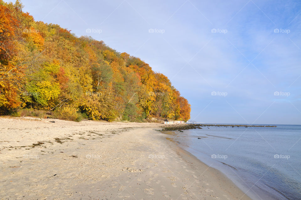 Autumn beach 