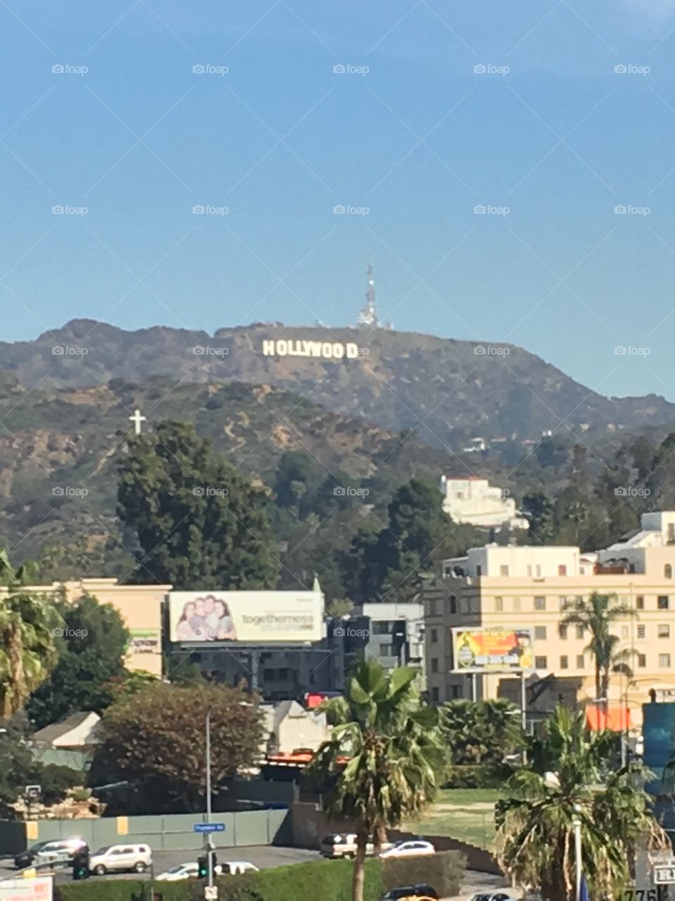 Hollywood 