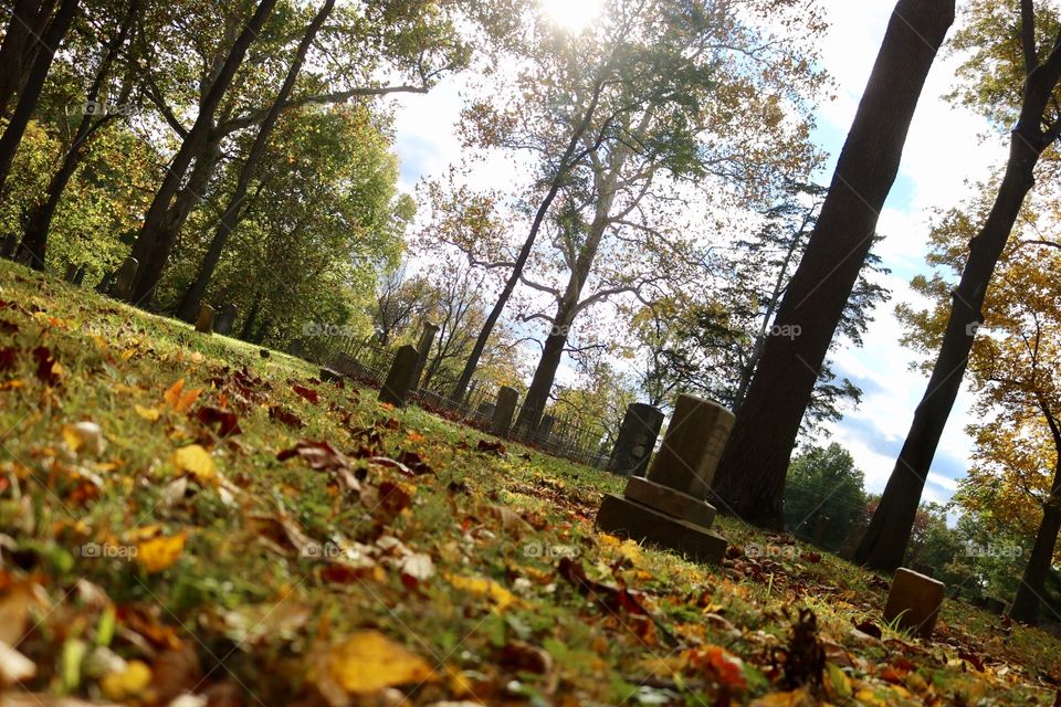 Cemetery 