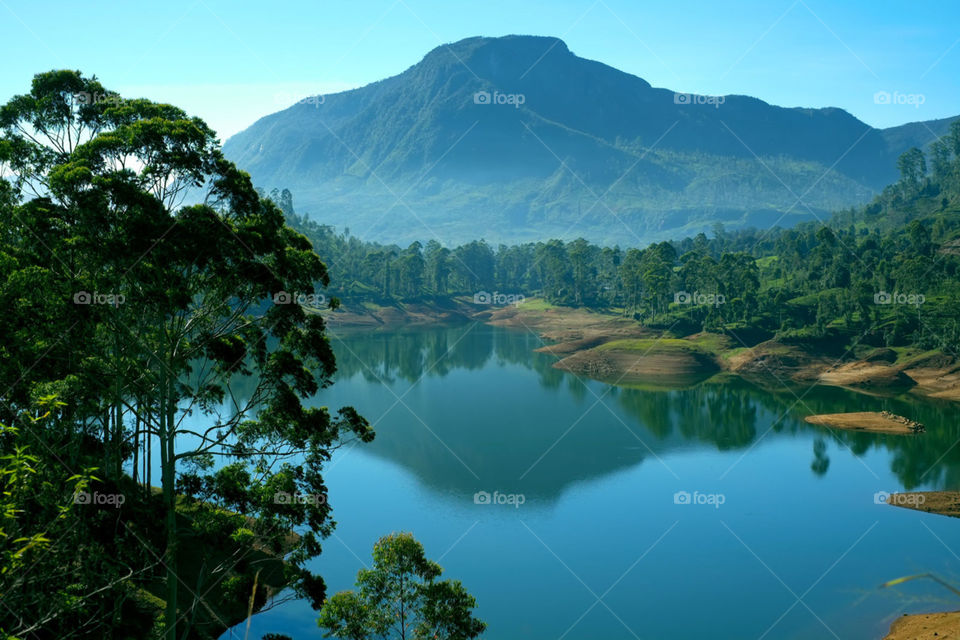 srilankan my hart ❤️❤️❤️❤️❤️👍