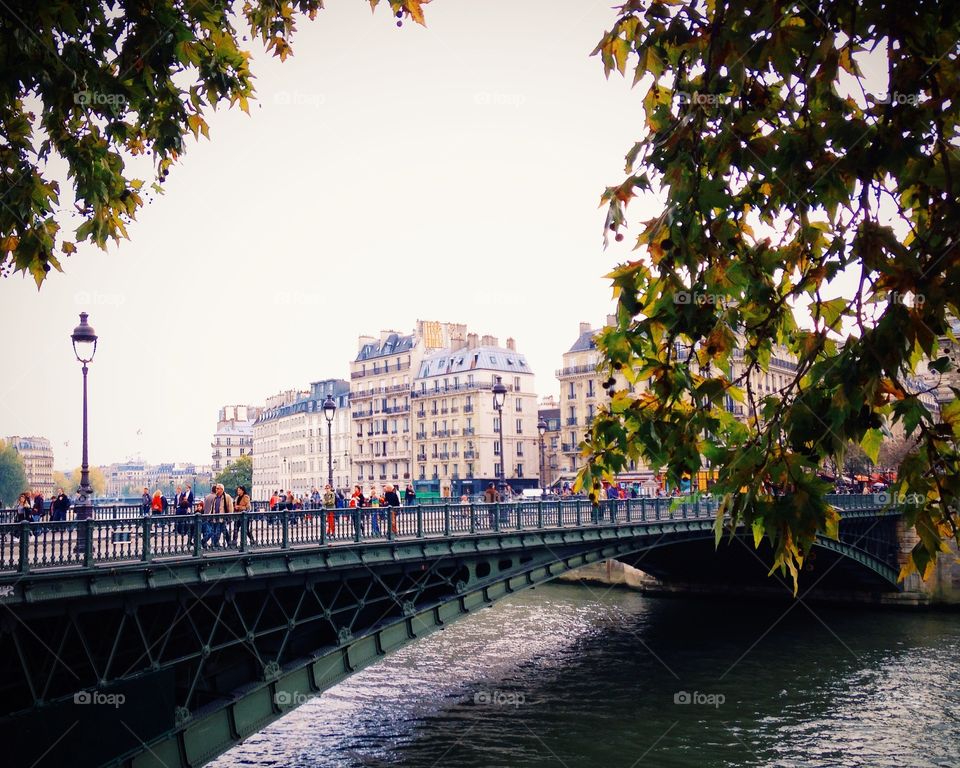 Bridge, City, Water, Building, Travel