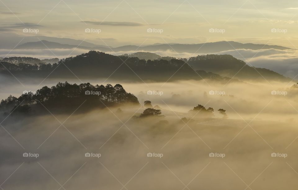 Foggy landscape in dalat