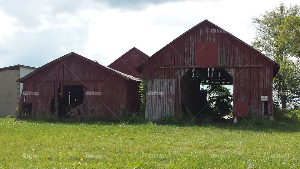 old red barns. farm barns