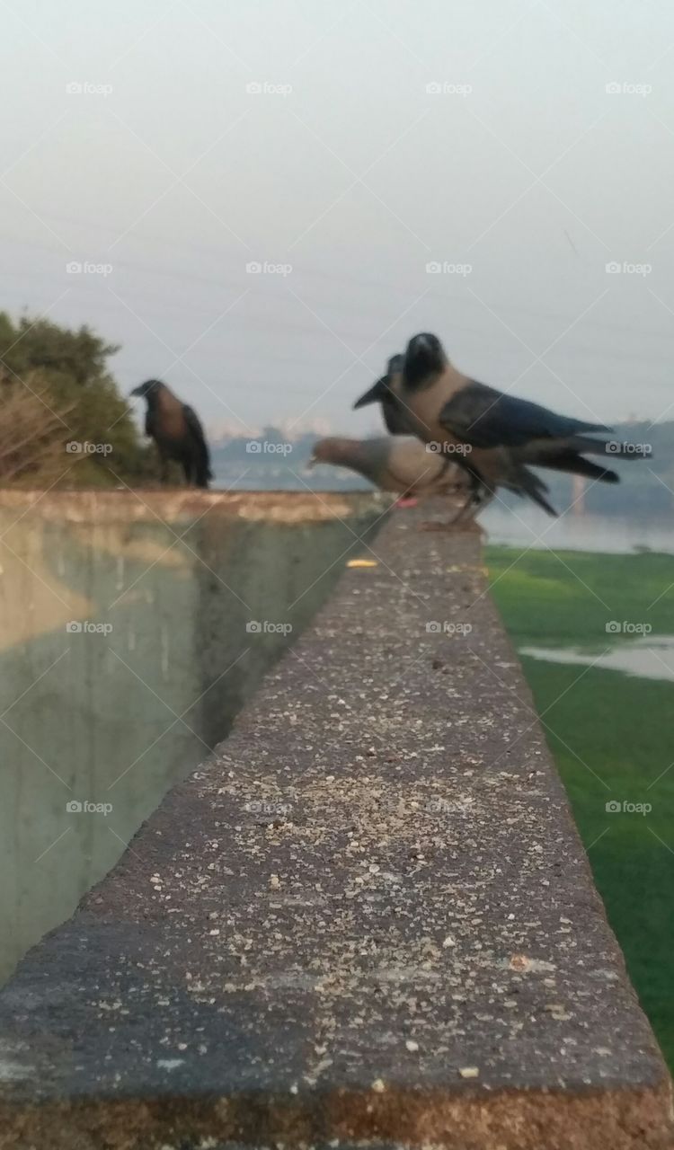 Super 3D pics in my camera phone