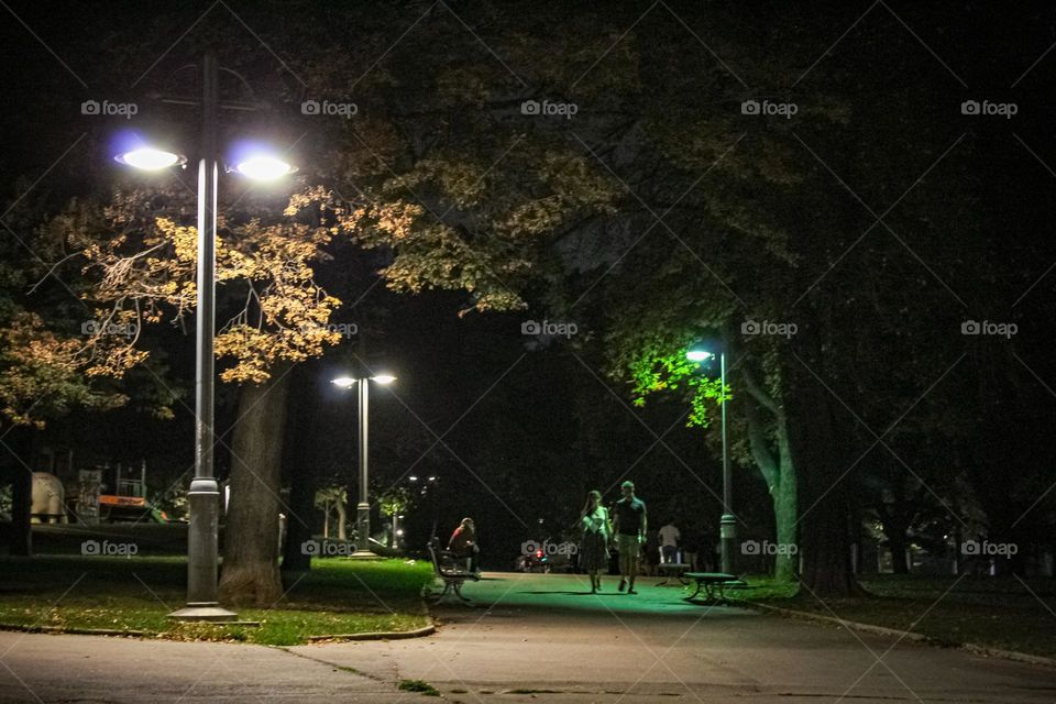 Autumn night in the park