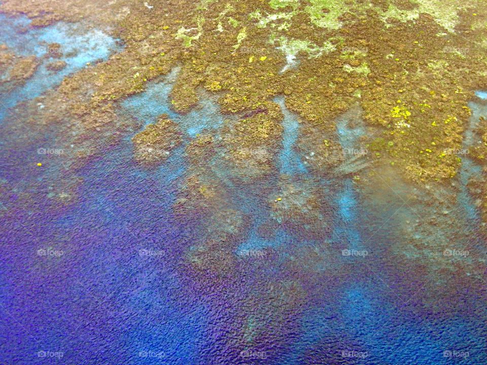 Reef under Water