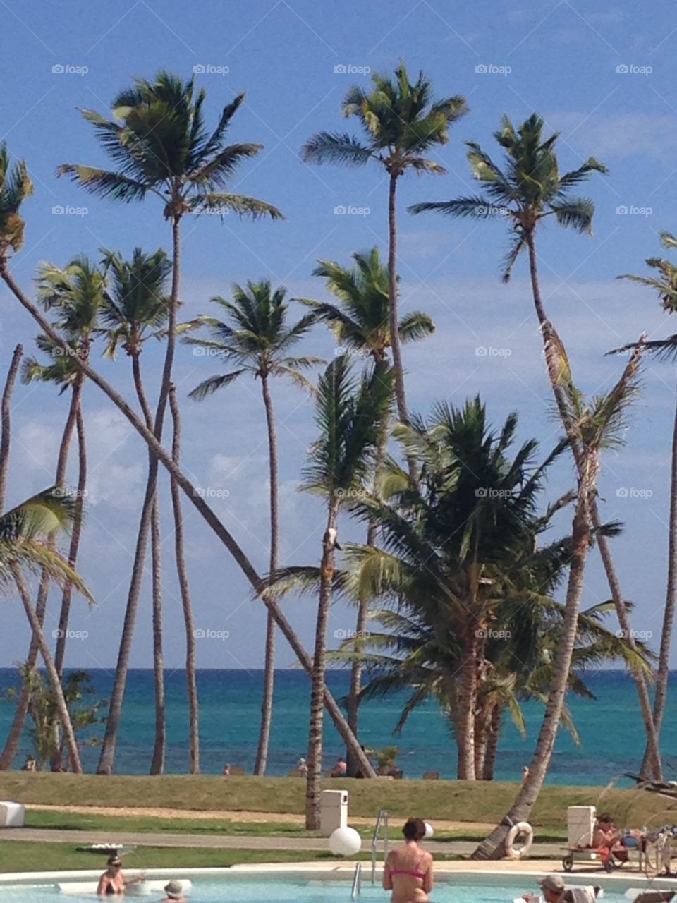 Palm trees and beaches. 