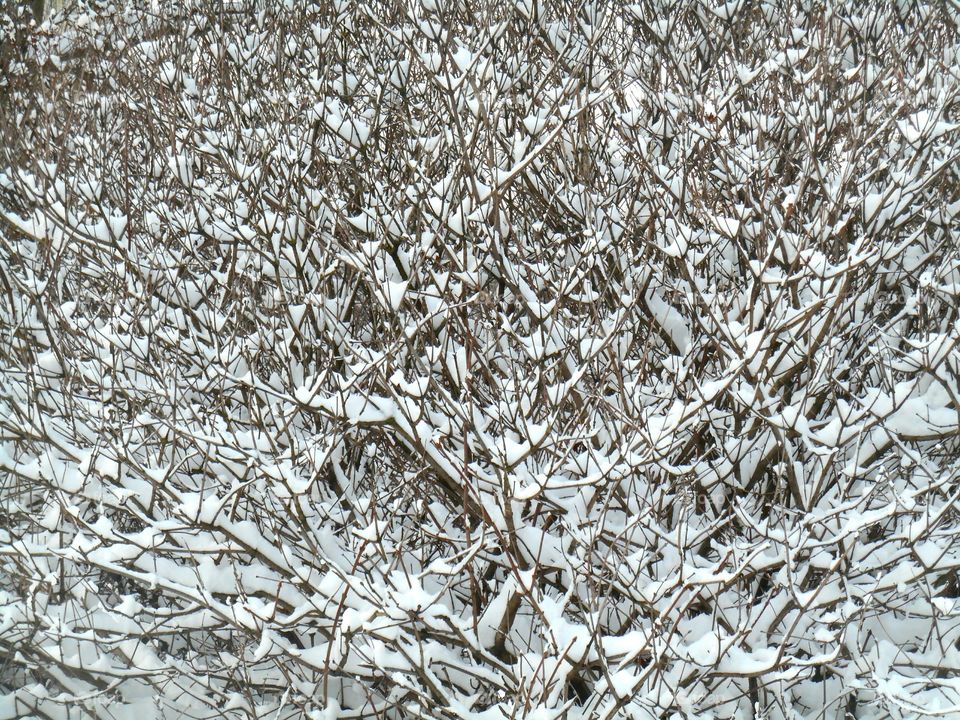 Desktop, Frost, Abstract, Texture, Pattern