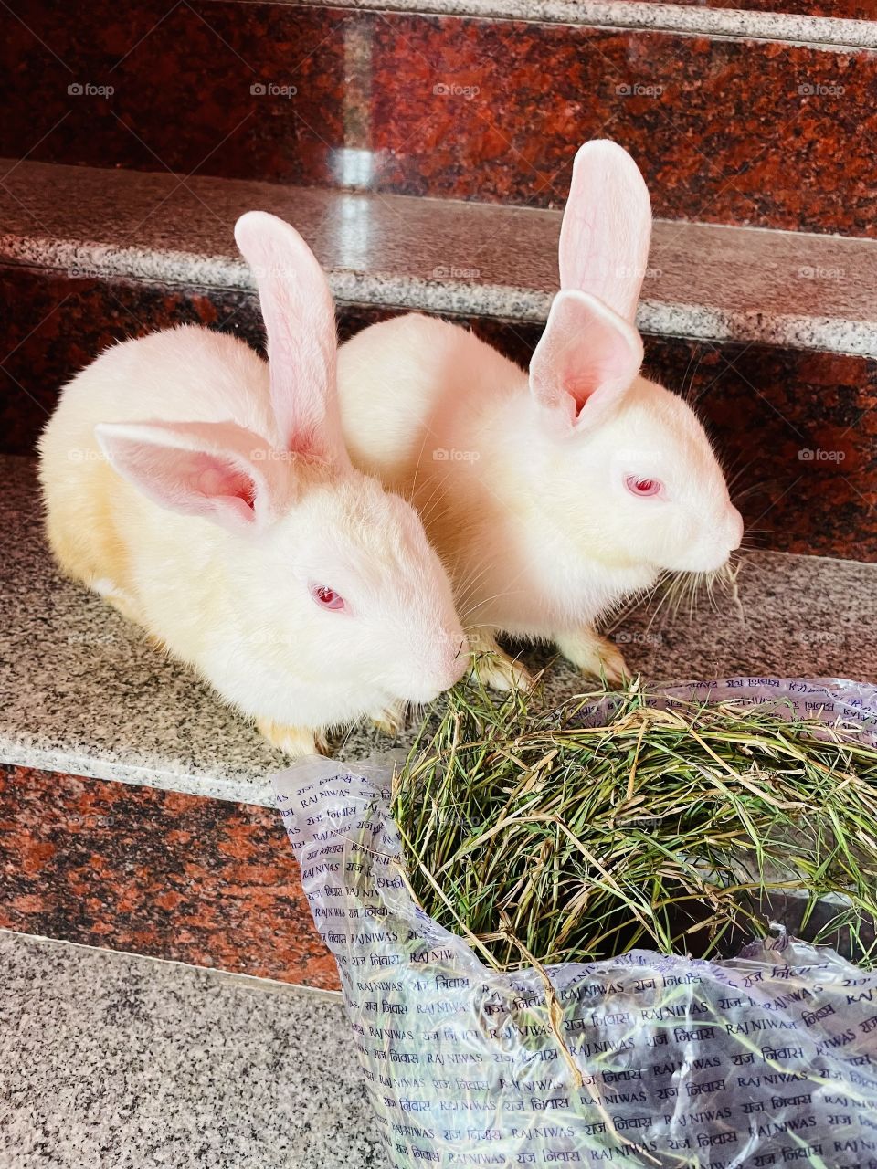 Husband and wife enjoying food together.