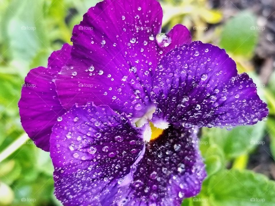 After the rain