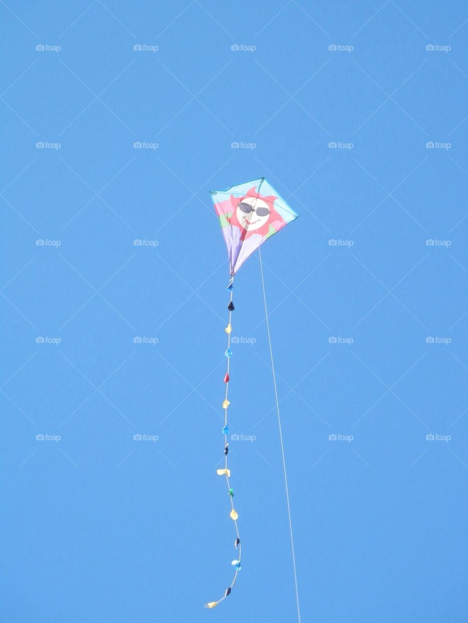 Kite