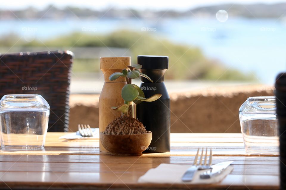 Creative earthy plant pot growing succulent cactus in grape vine ball, outdoor table setting overlooking ocean, wood salt pepper grinders shakers concept dining, outdoors, patio, table setting, wooden wear, rustic modern place