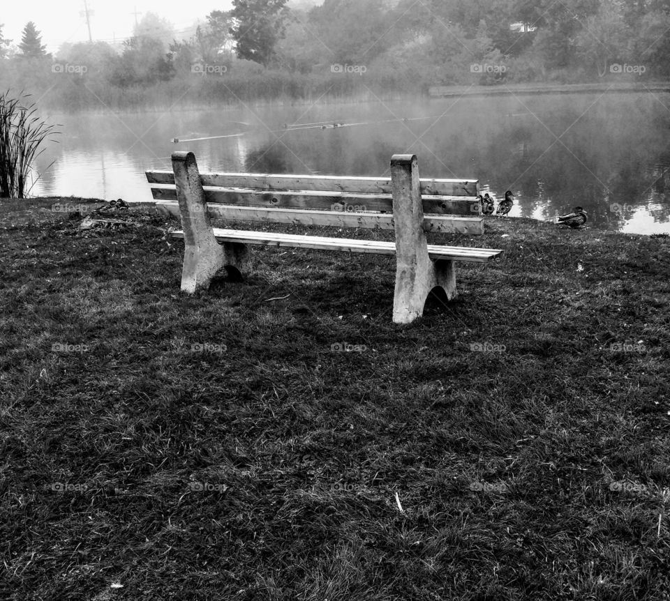 thought bench