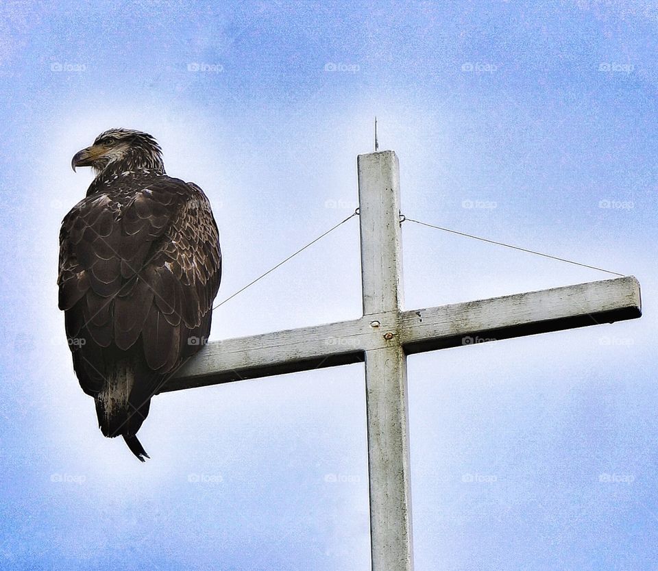 Cross with a view Tofino Vancouver Island Canada