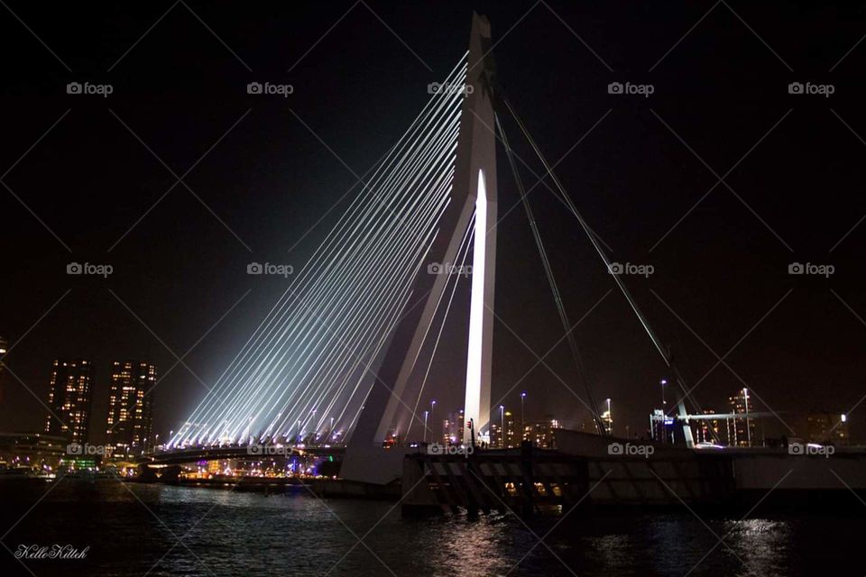 A picture I took of the Erasmusbrug in Rotterdam, The Netherlands.
