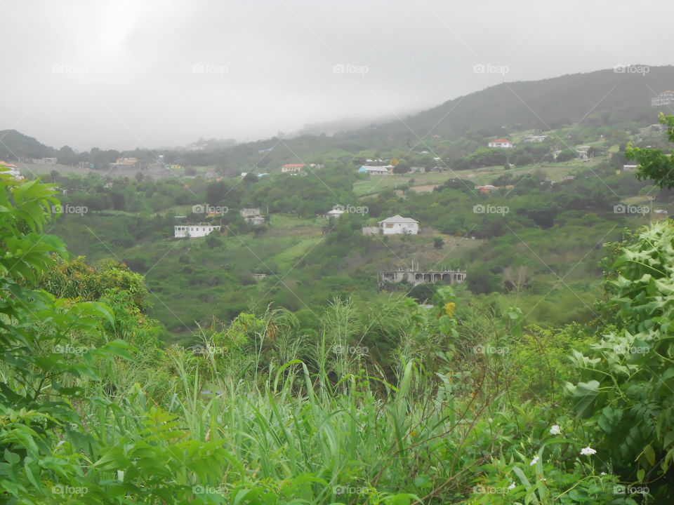 Rainy Season Landscape View