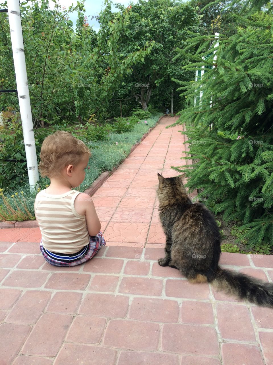 boy and cat