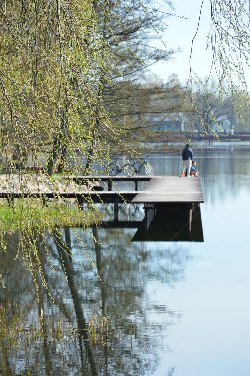 tree footbridge and bikers