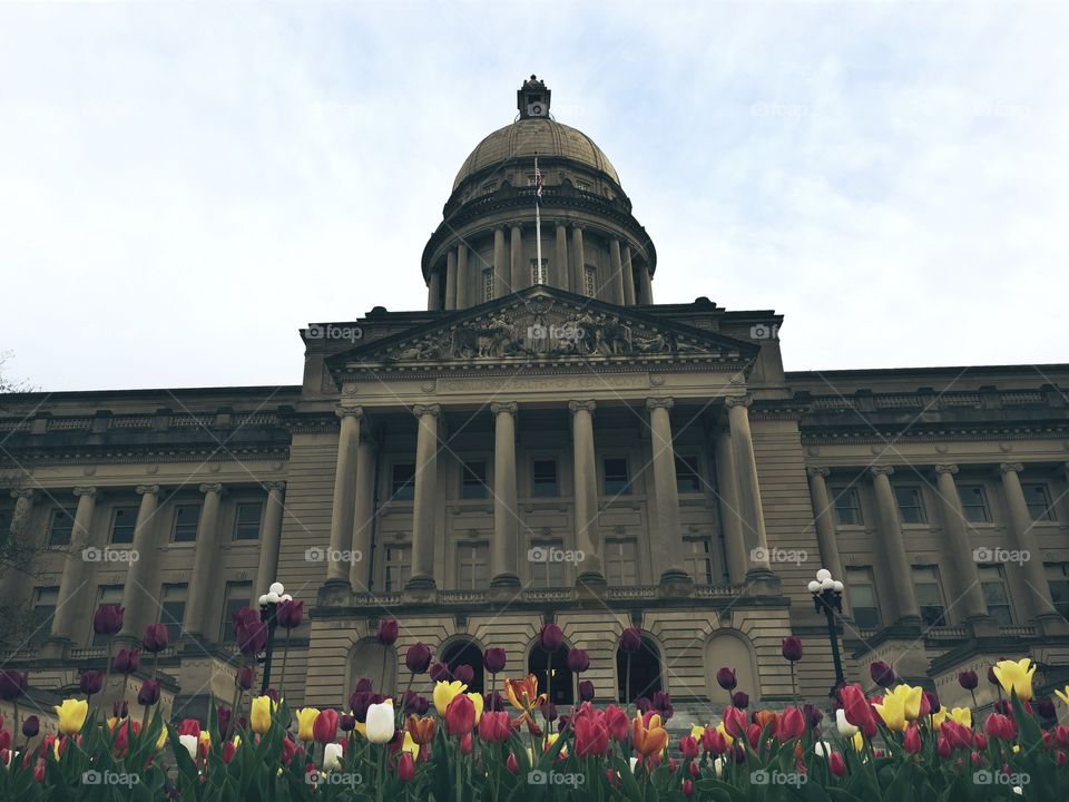 Kentucky Capitol in Spring. Kentucky Capitol with tulips