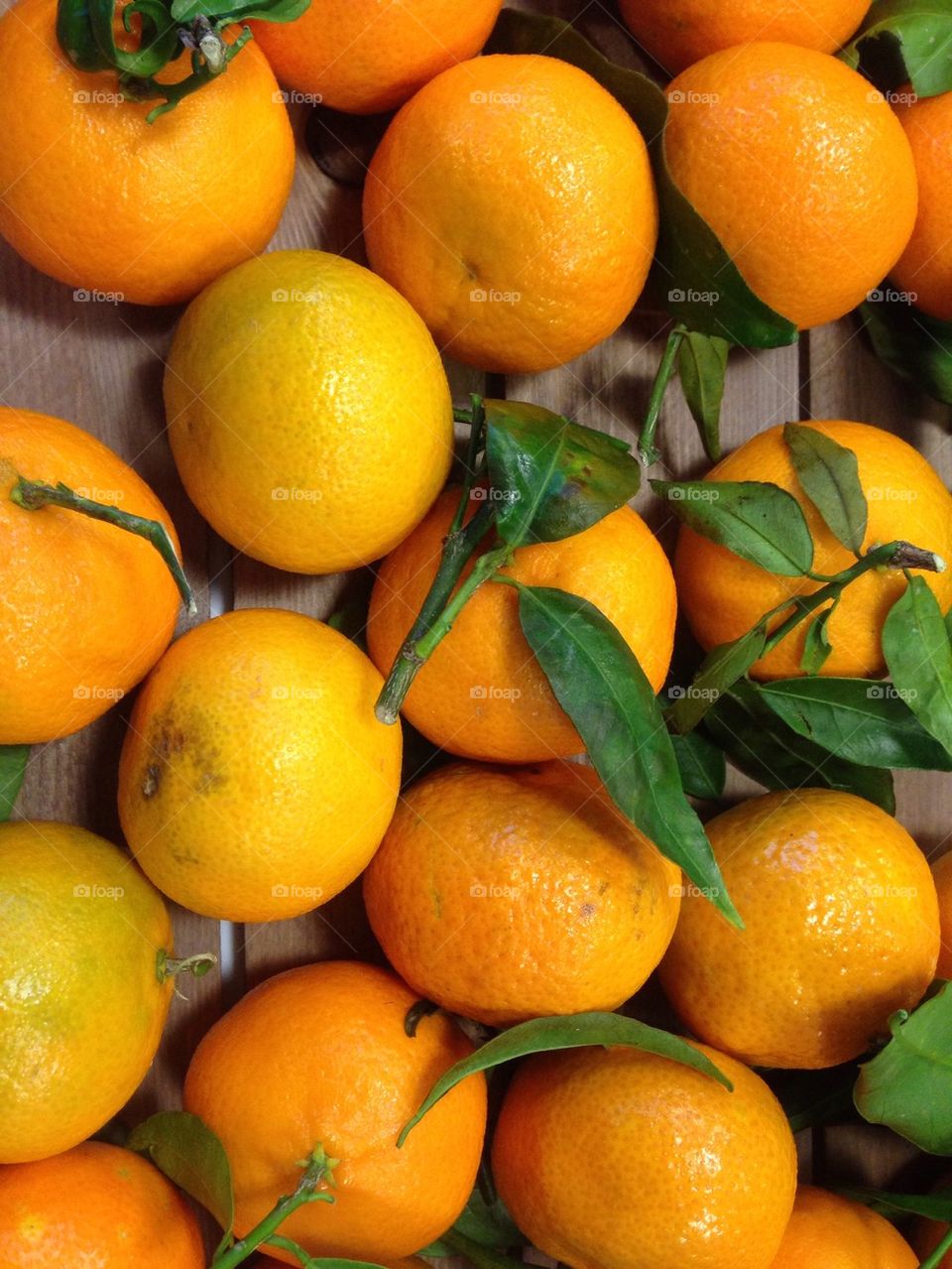 Healthy oranges