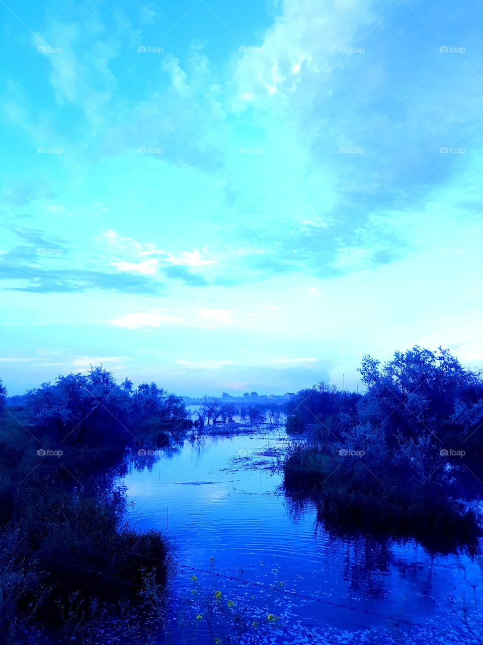blue trees, sky and river
