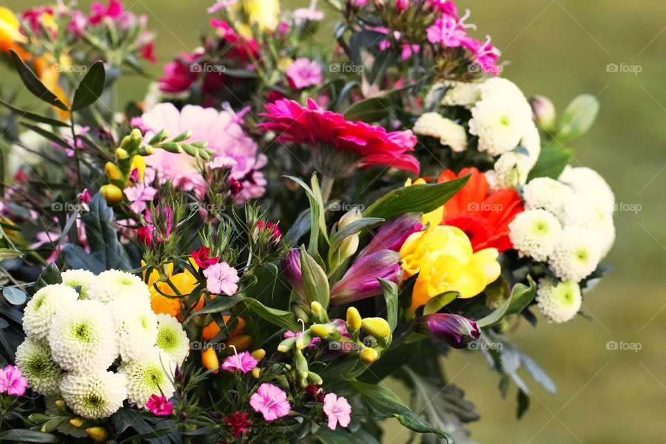 Blumenstrauß