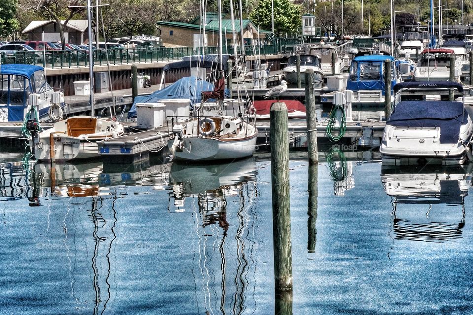 Marina Reflections