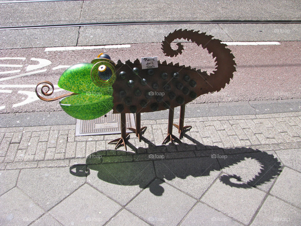 Dragon in the street