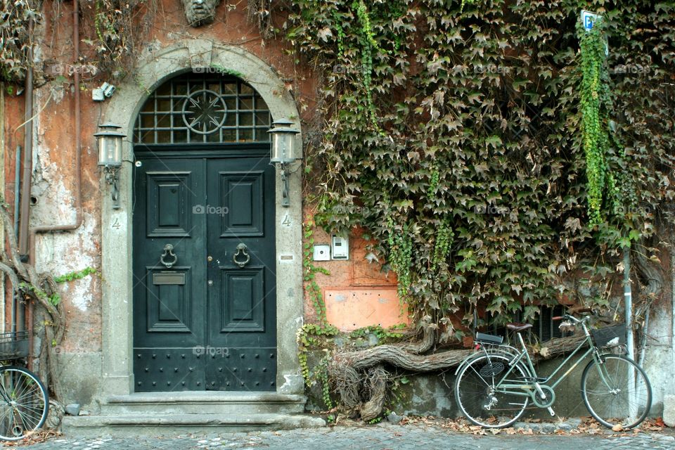 A beautiful view of a bike in front of an ancient house, near a huge ivy plant