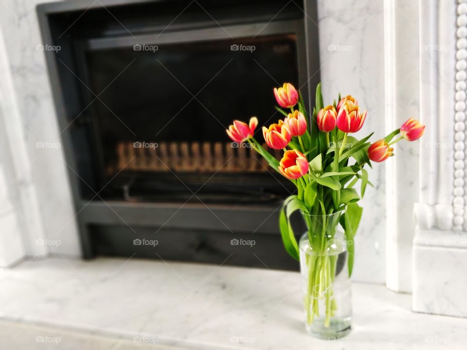 tulips nu fireplace