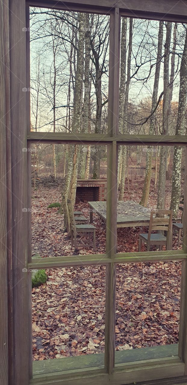 Living in the forest