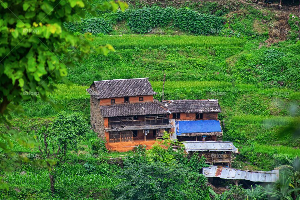 A rural house .