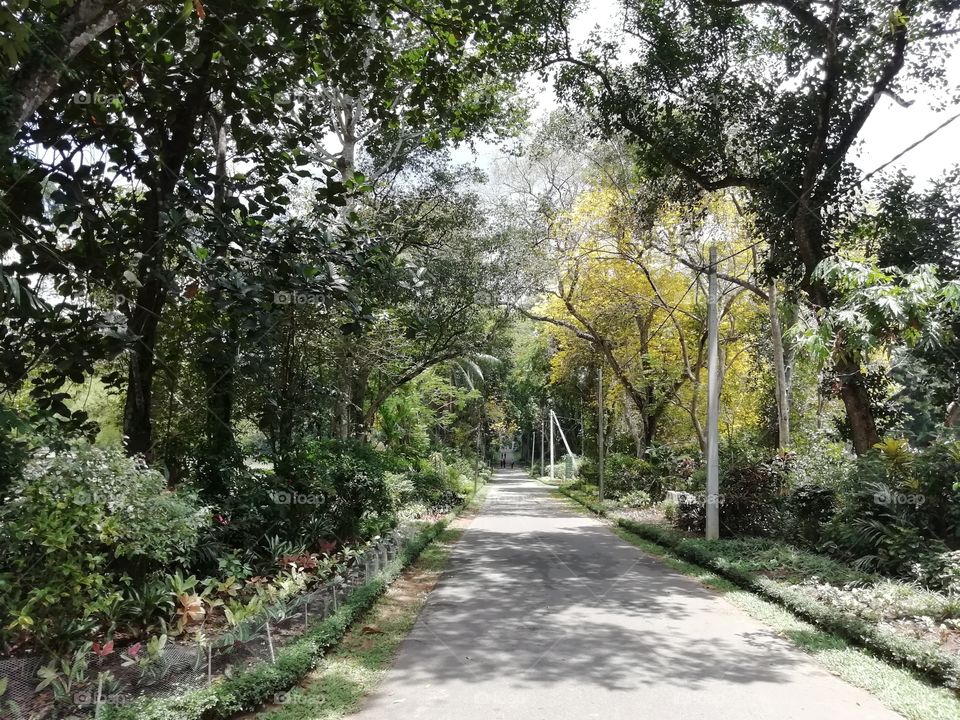 Random clicks # parthway