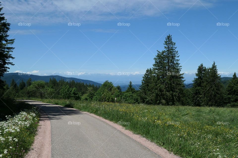 einsamer Straße im Schwarzwald
