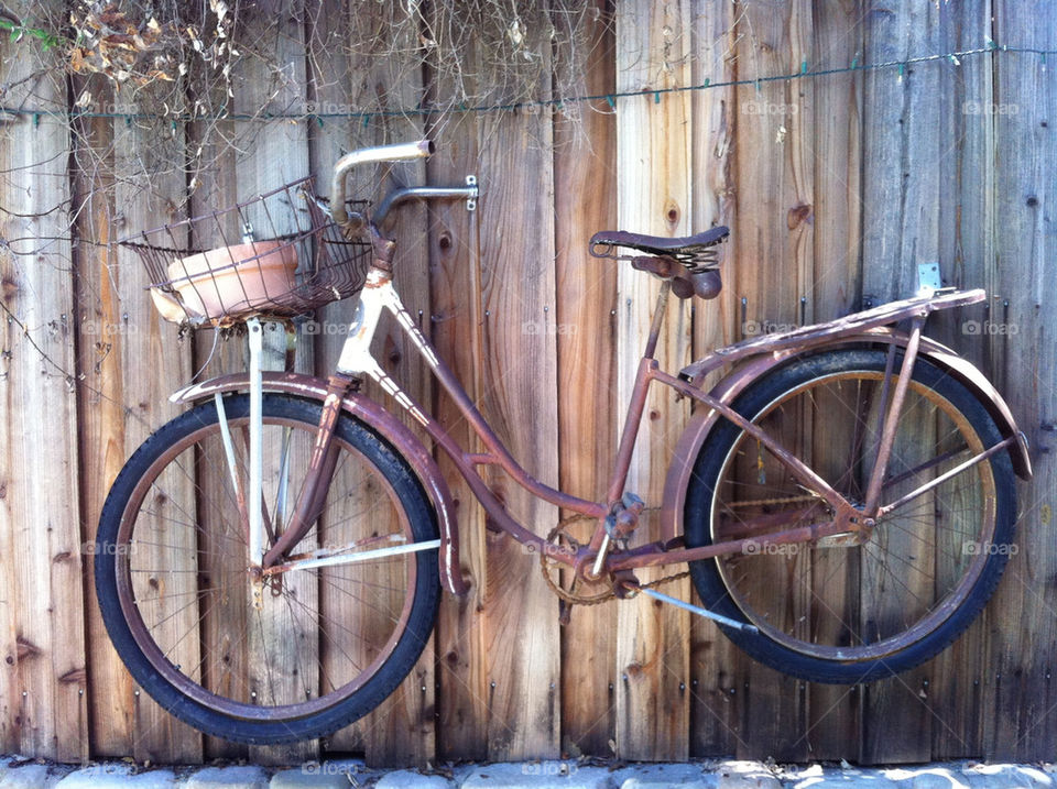 wall bike basket california by wilsonholly
