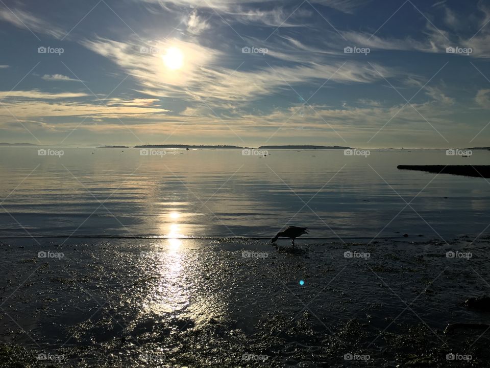 After sunrise on Willows Beach