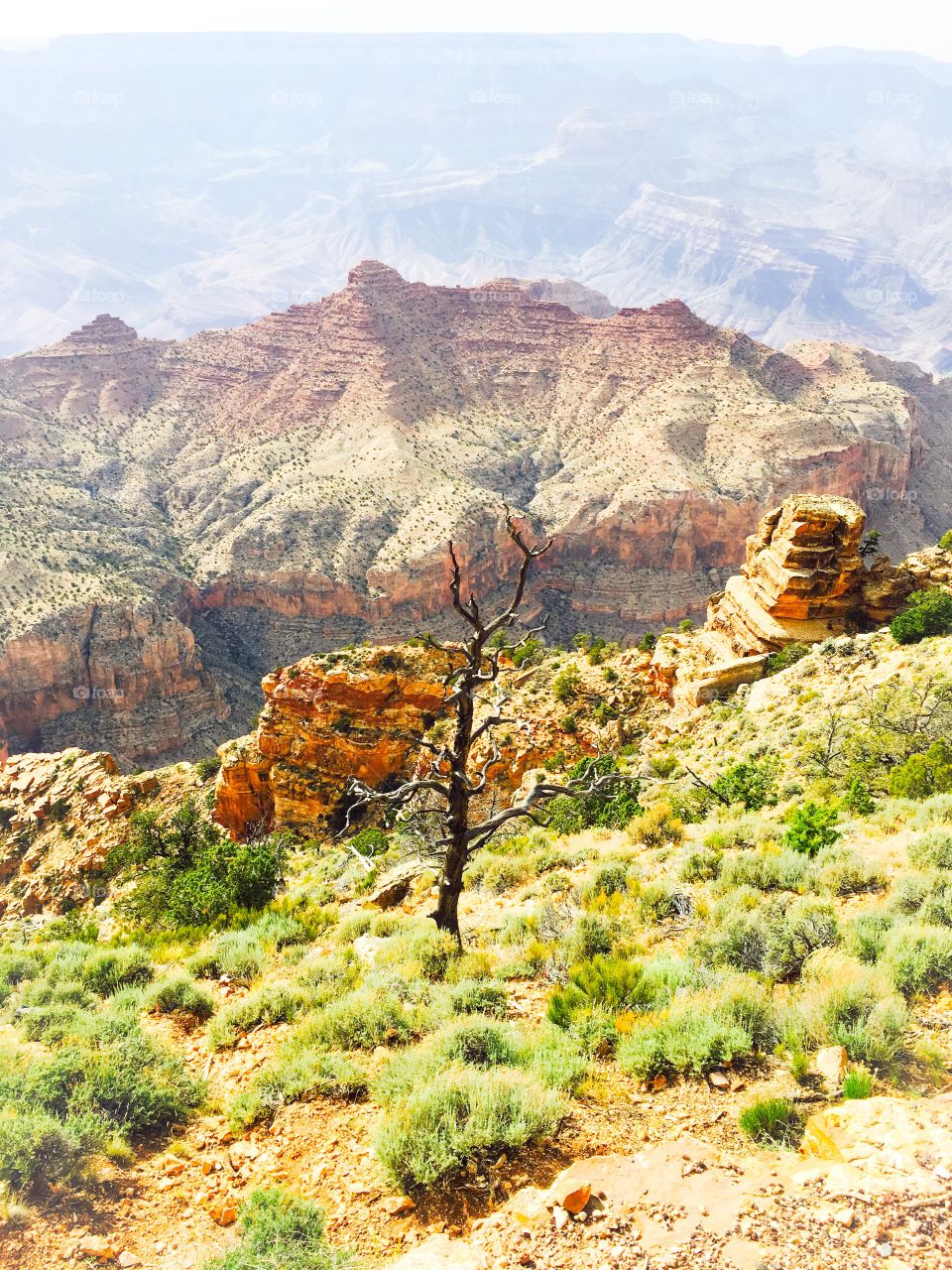 Grand Canyon