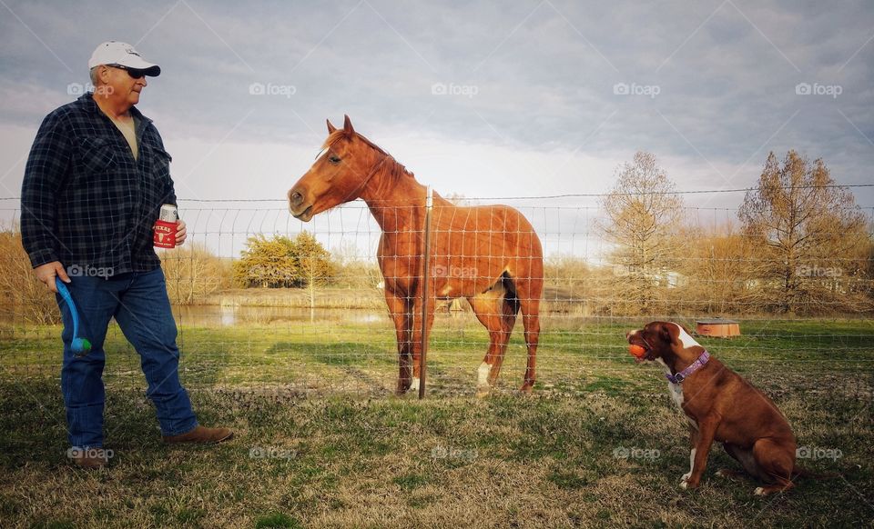 A man relaxing outside playing ball with his dog while his horse looks on on a beautiful late winter early spring evening