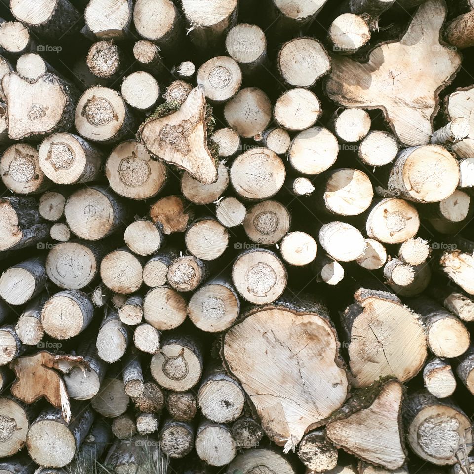 a wall of logs. sometimes extraordinary views are found where other people just do their ordinary work.