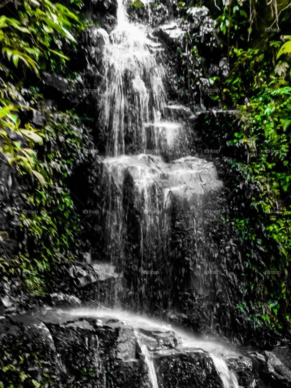 Belíssima Cachoeira localizada no Arquipélago de Ilhabela, litoral norte do Brasil.Registro fotográfico efetuado durante trilha pela Mata Atlântica no Arquipélago.Beautiful waterfall located in the Ilhabela Archipelago, north coast of Brazil.