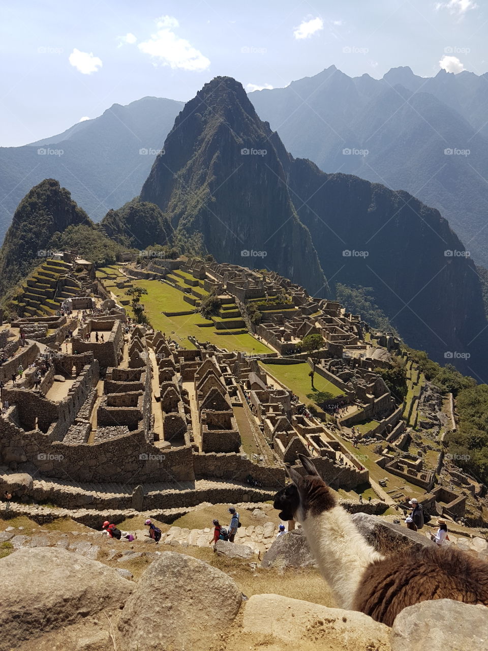 Machu Picchu 4