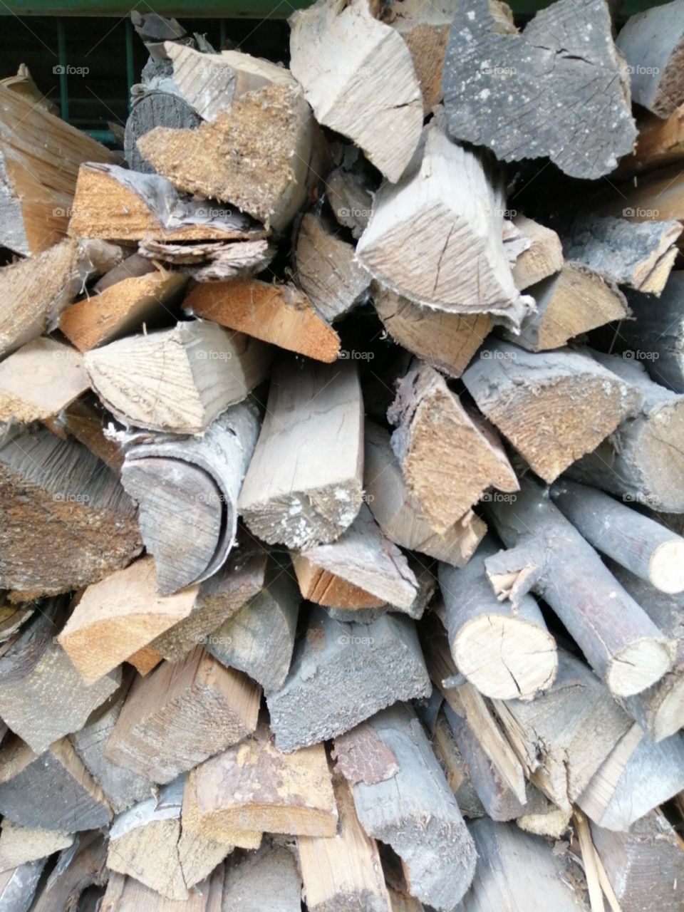 Old dry, dry birch pine pine aspen aspen rotten wood in a pile