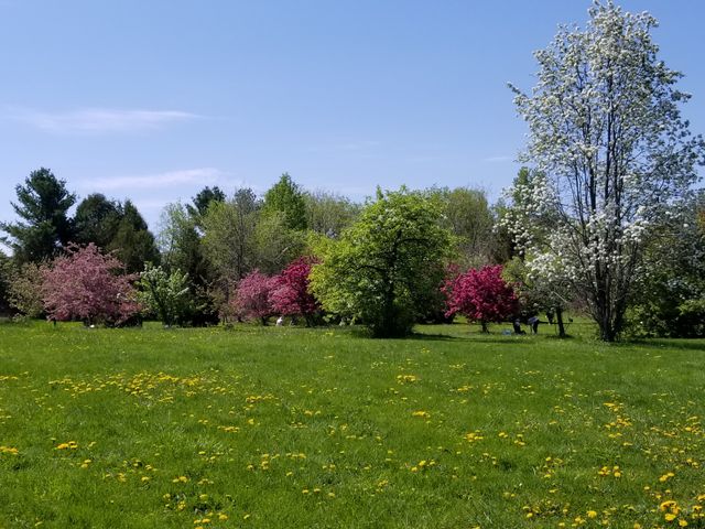 Colors of spring